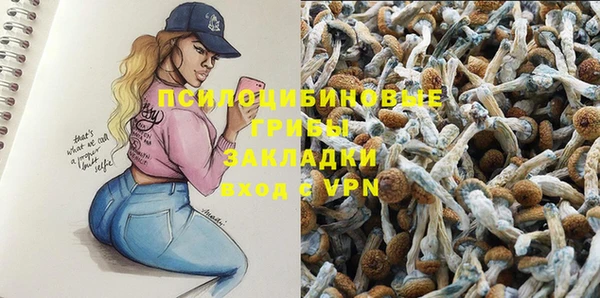 PSILOCYBIN Володарск