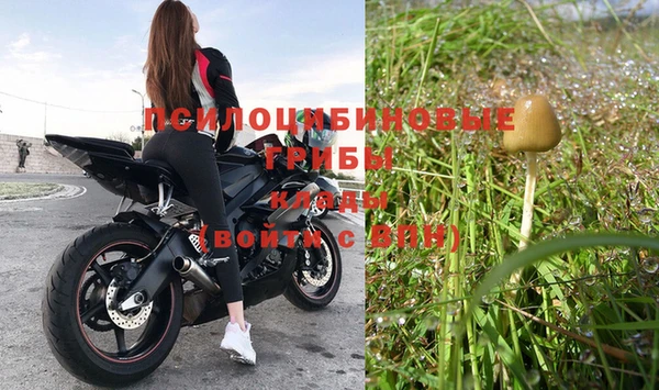 PSILOCYBIN Володарск