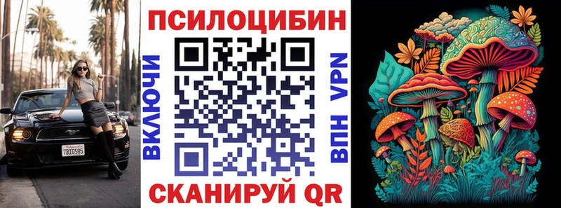 дарнет шоп  мега ССЫЛКА  Галлюциногенные грибы Cubensis  Майкоп 